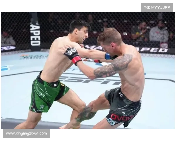 UFC289新增德沃夏克迎战埃尔采格蝇量级对决引爆战斗激情 UFC289新增德沃夏克迎战埃尔采格蝇量级对决引爆战斗激情